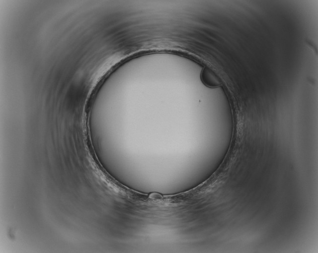 X0000103460990200809261836