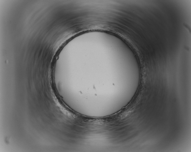 X0000103460991200809261836