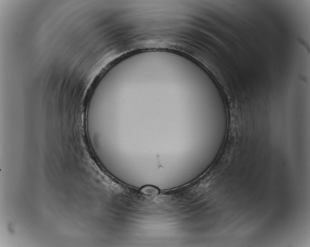 X0000103460992200809261836