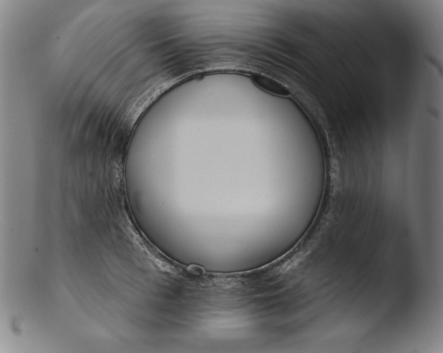 X0000103460993200809261836