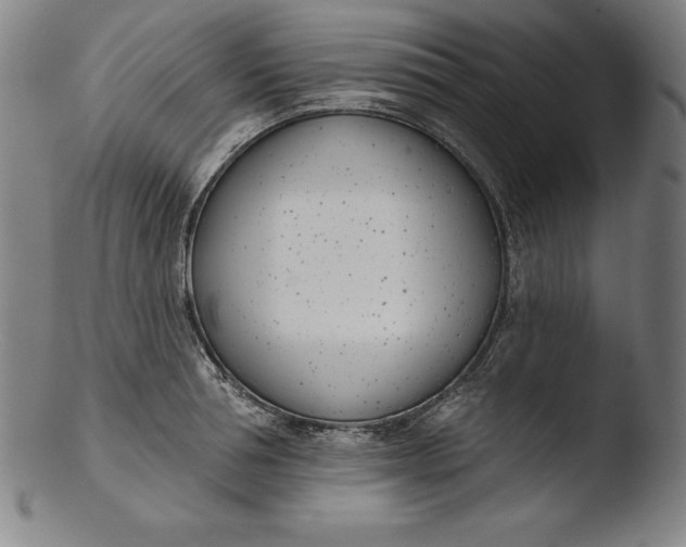 X0000103460994200809261836