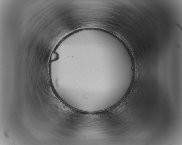 X0000103460996200809261836