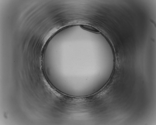 X0000103460997200809261836