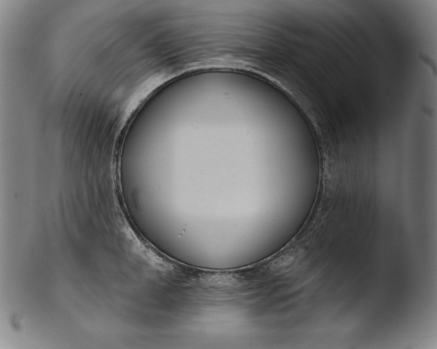 X0000103460998200809261836