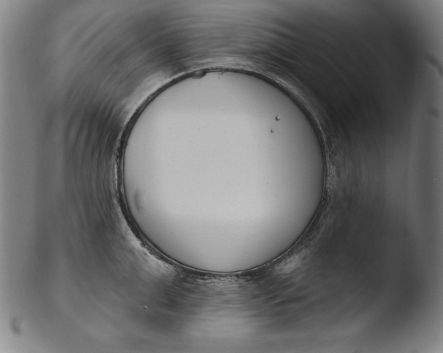 X0000103460999200809261836