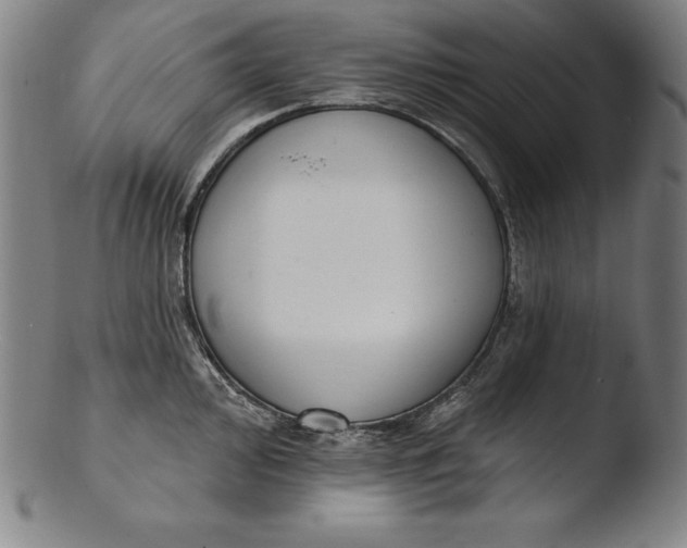 X0000103461000200809261836