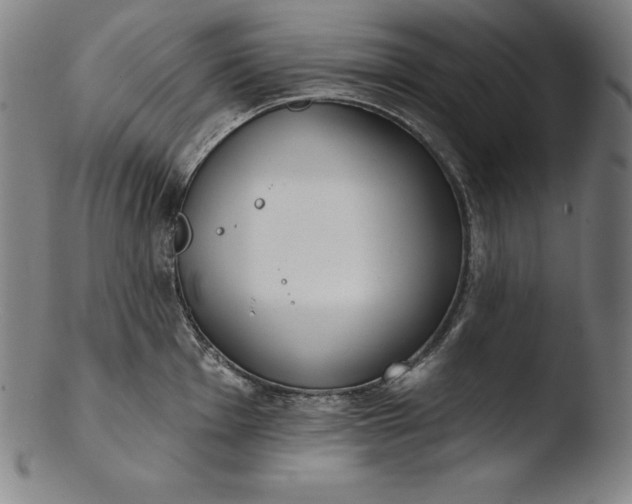 X0000103461001200809261836