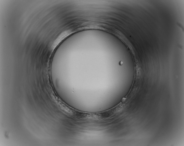 X0000103461002200809261836