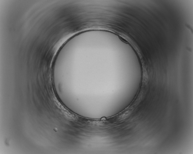 X0000103461004200809261836