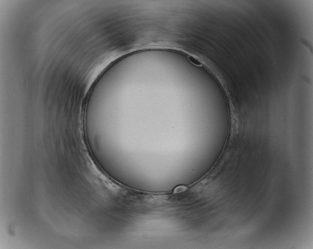 X0000103461006200809261836