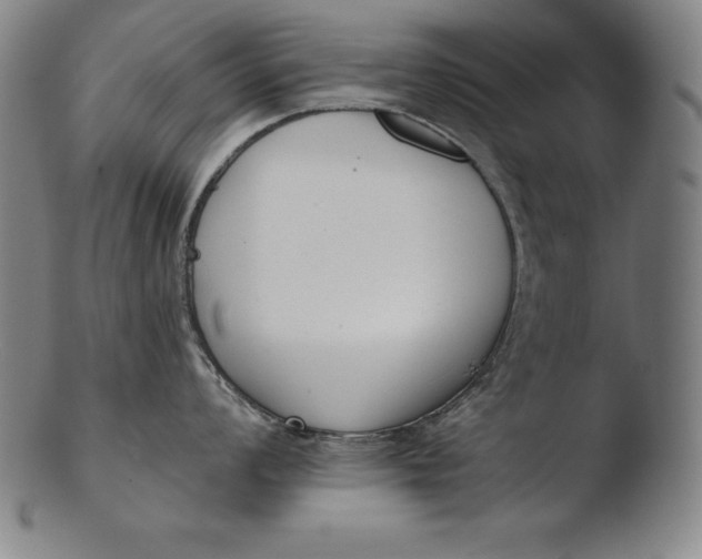 X0000103461008200809261836