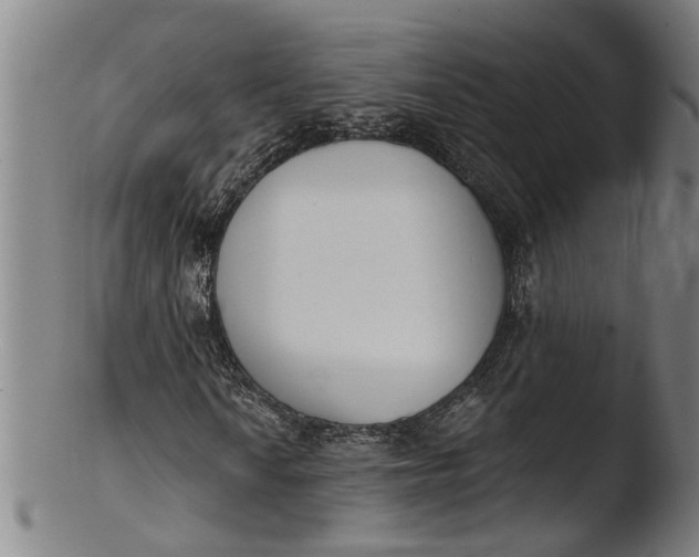 X0000103461010200809261835