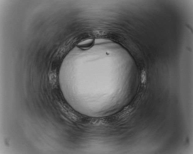 X0000103461011200809261835