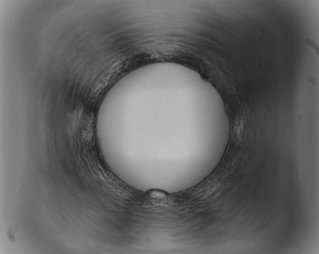 X0000103461012200809261835