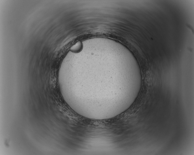 X0000103461015200809261835