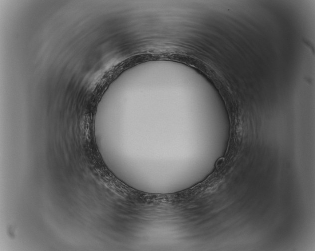 X0000103461016200809261835