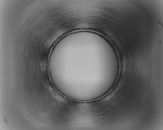 X0000103461017200809261835