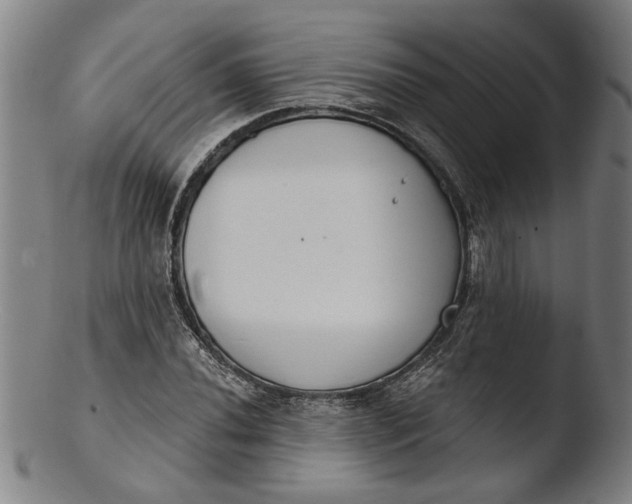 X0000103461020200809261835