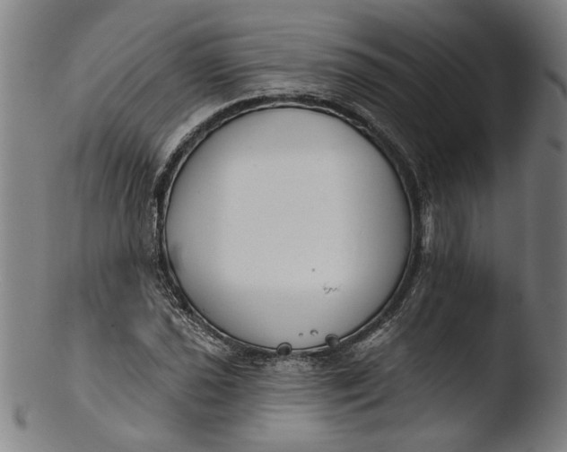 X0000103461021200809261835