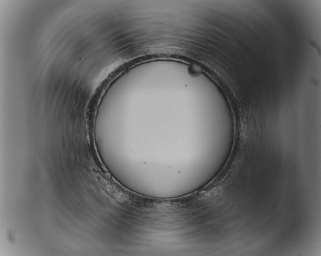 X0000103461022200809261835