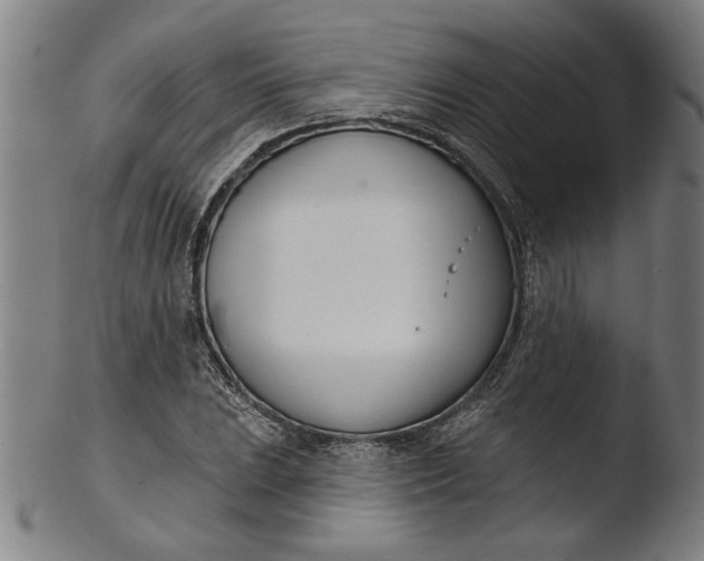 X0000103461023200809261835