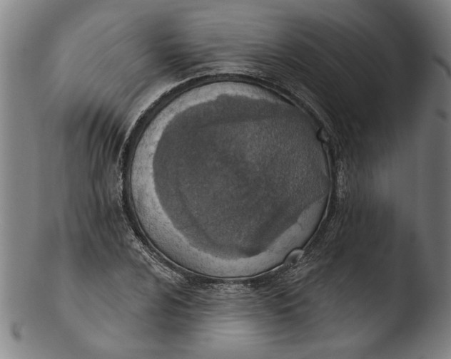 X0000103461024200809261835