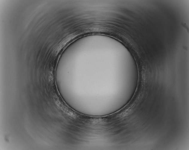 X0000103461025200809261835