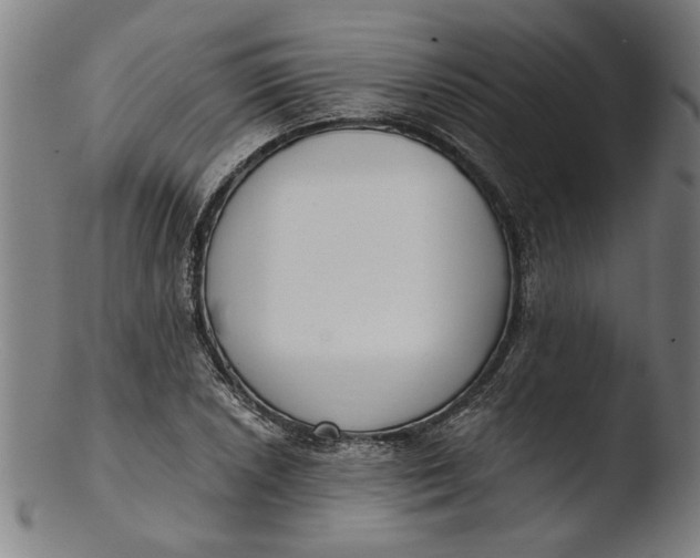 X0000103461026200809261835