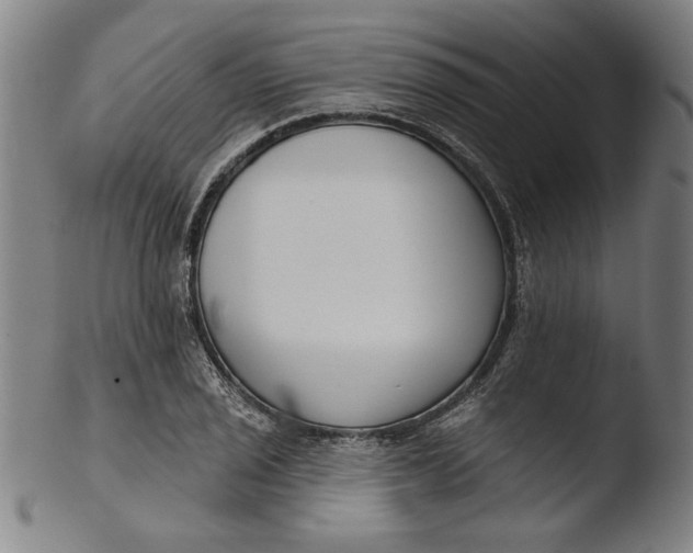 X0000103461029200809261836