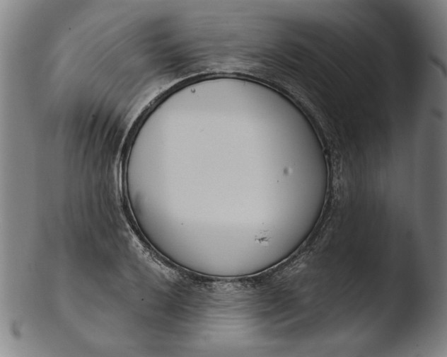 X0000103461032200809261836