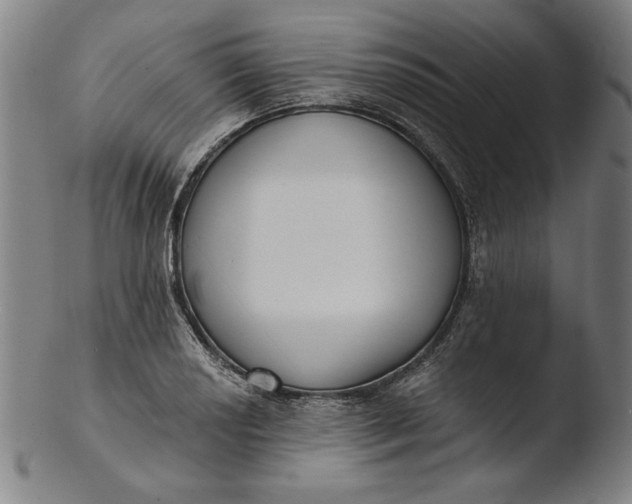 X0000103461034200809261836