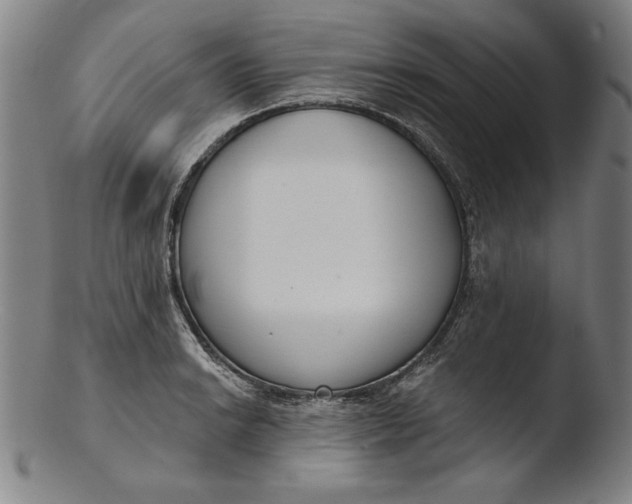 X0000103461038200809261836