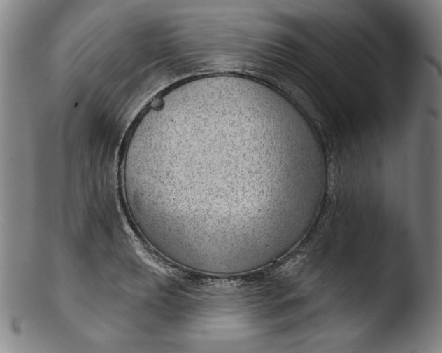 X0000103461039200809261836