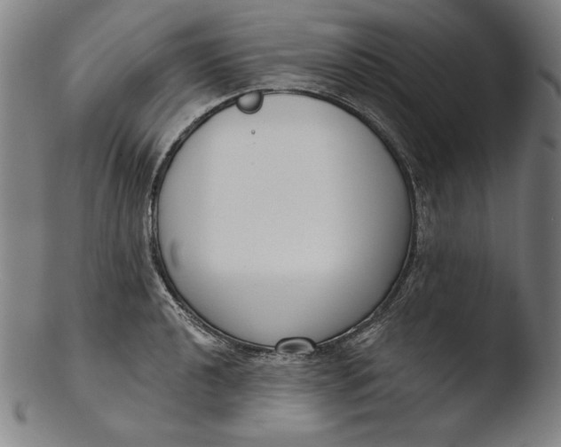 X0000103461040200809261836