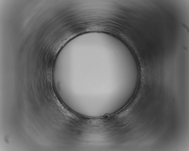 X0000103461041200809261836