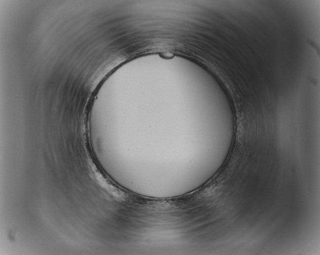 X0000103461042200809261836