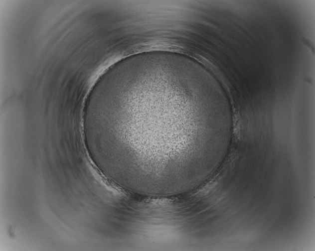 X0000103461043200809261836