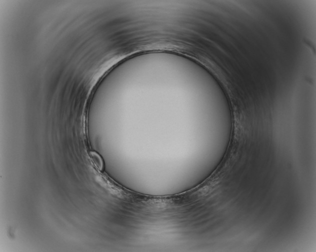 X0000103461044200809261836