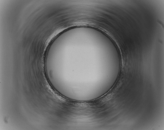 X0000103461045200809261836