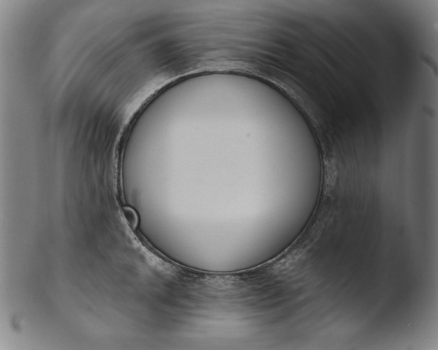 X0000103461046200809261836