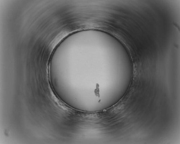 X0000103461047200809261836