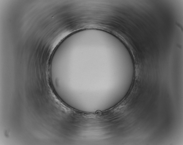 X0000103461048200809261836