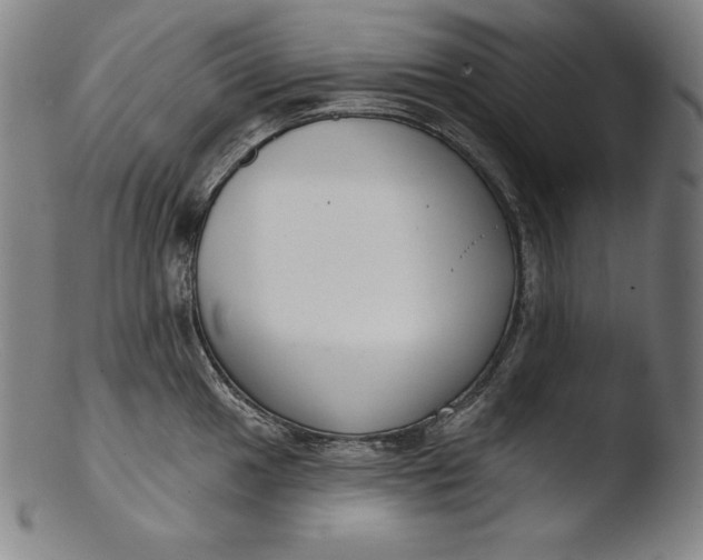 X0000103461049200809261836