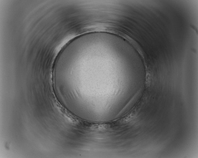 X0000103461051200809261836