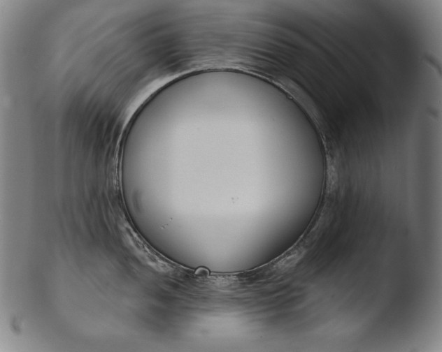 X0000103461052200809261836