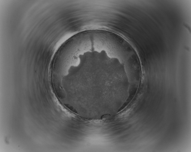 X0000103461053200809261836