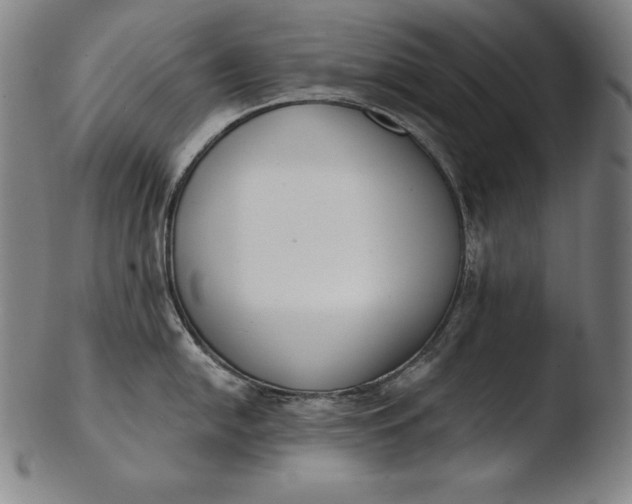 X0000103461054200809261836