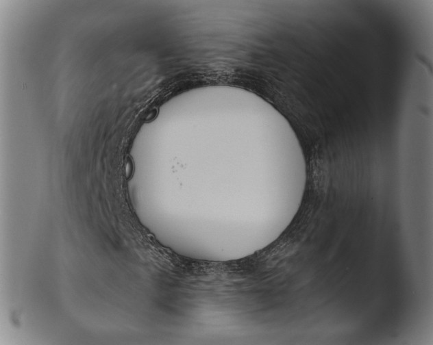 X0000103461057200809261835