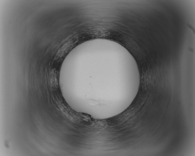 X0000103461058200809261835