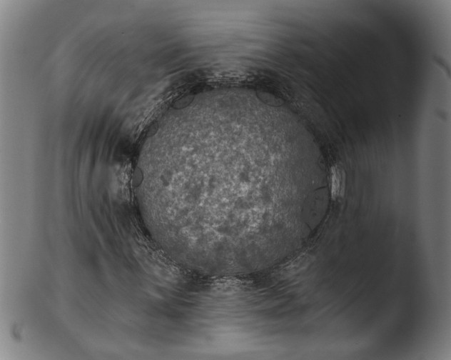 X0000103461059200809261835